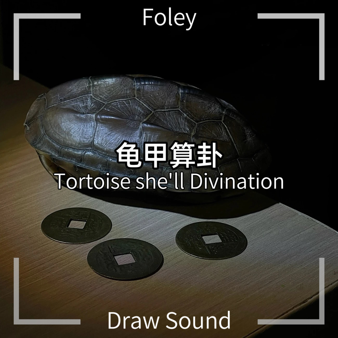 龟甲算卦